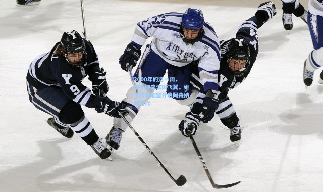 彩客网官网登录：2000年的这一周，枪手迎来法国飞翼，维尔托德加盟开启阿森纳新时代